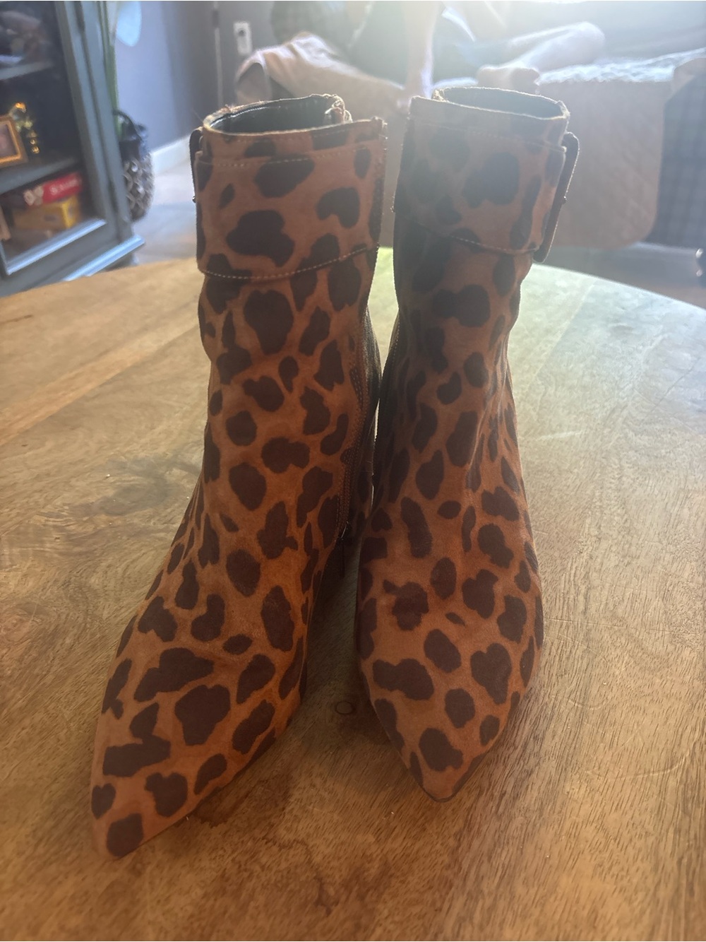 Circus by Sam Edelman Leopard Print Pointed Ankle Boots - Brown/Black